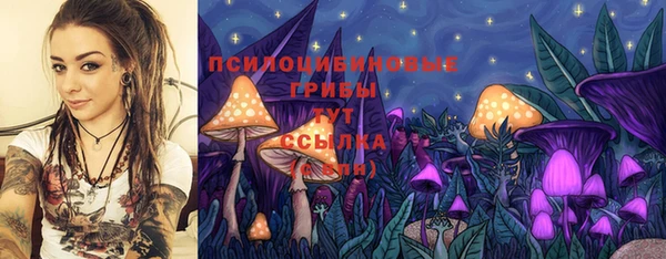 а пвп мука Алексин