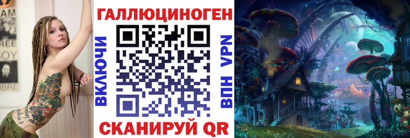 дарнет шоп  Михайловск  Псилоцибиновые грибы GOLDEN TEACHER 