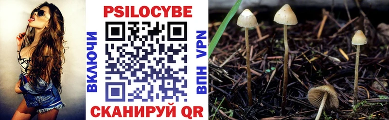 Галлюциногенные грибы ЛСД Михайловск