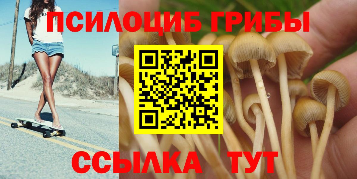Галлюциногенные грибы GOLDEN TEACHER  Псилоцибиновые грибы GOLDEN TEACHER  Михайловск  купить наркоту  Вход с VPN 