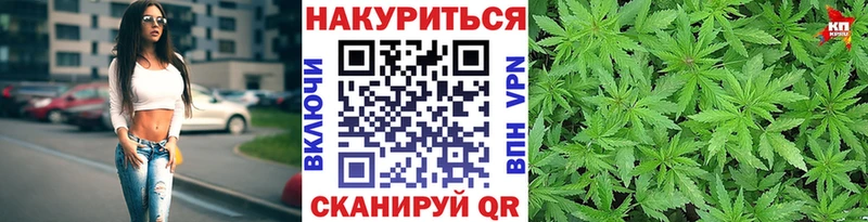 купить наркоту  мега онион  Каннабис индика  Михайловск 